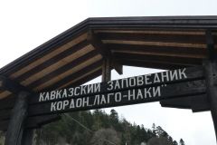 Адыгея-май-2025-29