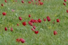 Калмыкия-апр-22025-24