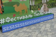Калмыкия-апр-22025-4