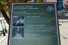 P1540713