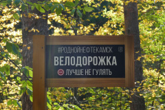 P1540766