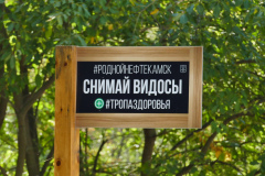 P1540777