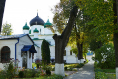P1540856