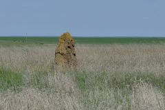 Ростовский-зап.-апр.-2025-28
