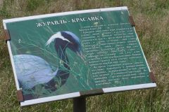 Ростовский-зап.-апр.-2025-36