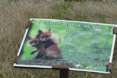 Ростовский-зап.-апр.-2025-38